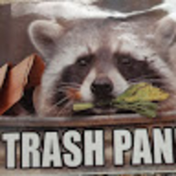 Meet your Posher, Calvin - Picture 1 of 1